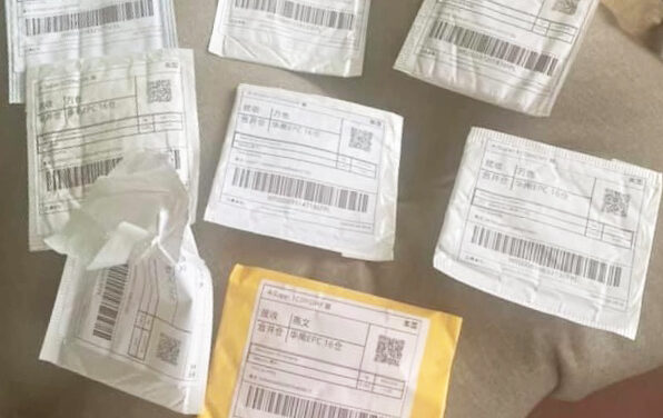 CONCERNS SPROUT OVER CHINESE SEEDS