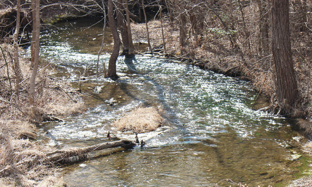 As water level falls, concerns rise