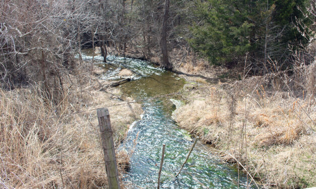 Judge sides with mines on city ordinance