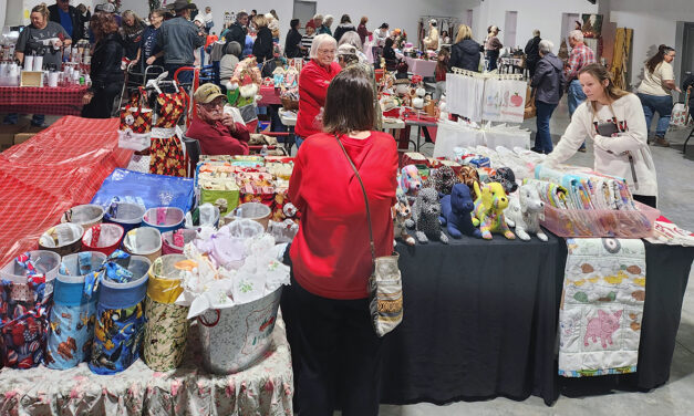 COUNTY VETERANS HOST CRAFT FAIR